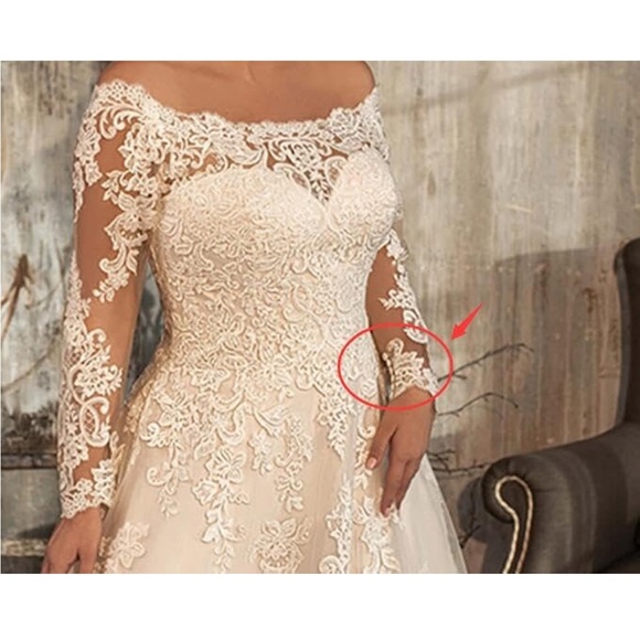 Champagne lace wedding gown - Picture 3 of 13